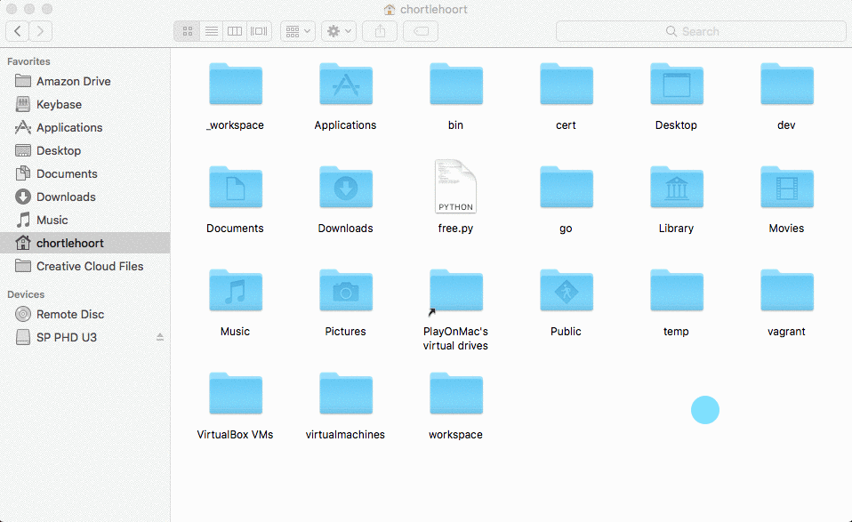 workspace directory contents